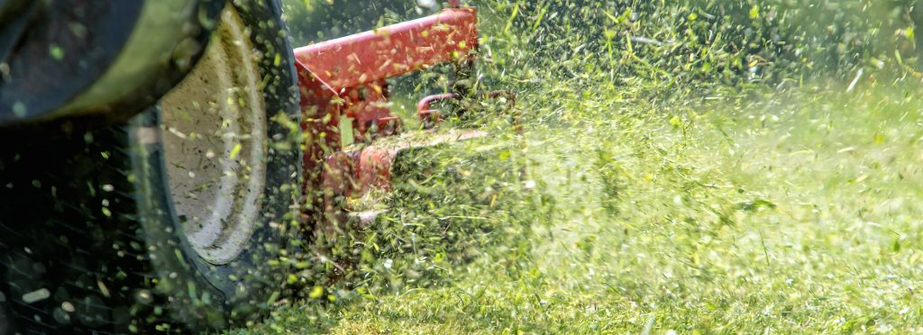 Landscaping & lawn care by The Outside Guys in Syracuse, NY and surrounding areas.